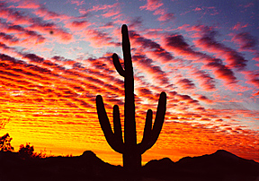 Tucson LGBT Museum